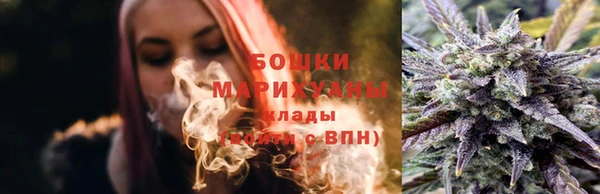 молекула духа Арсеньев