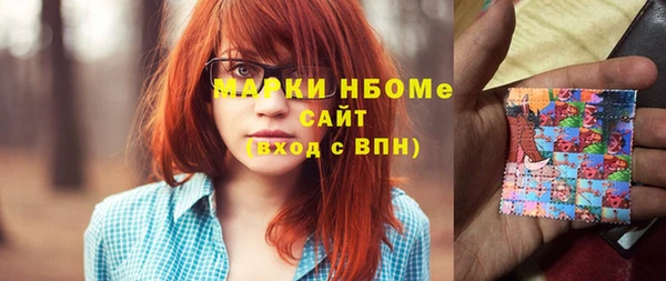 молекула духа Арсеньев