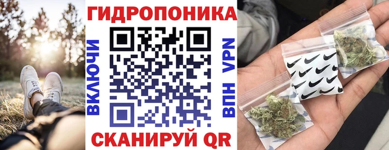 Канабис индика  Талица 